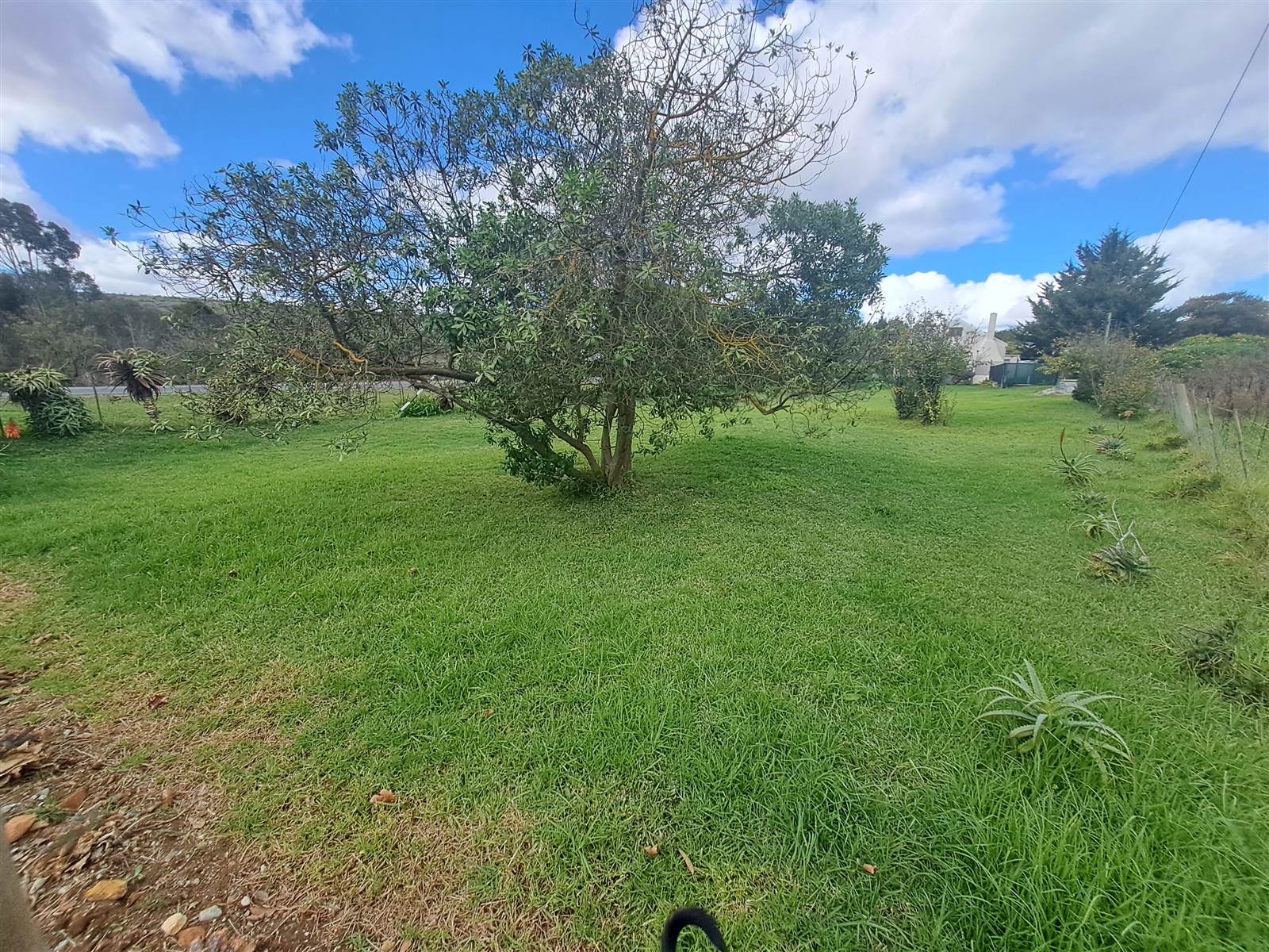 850 m² Land available in Napier photo number 9