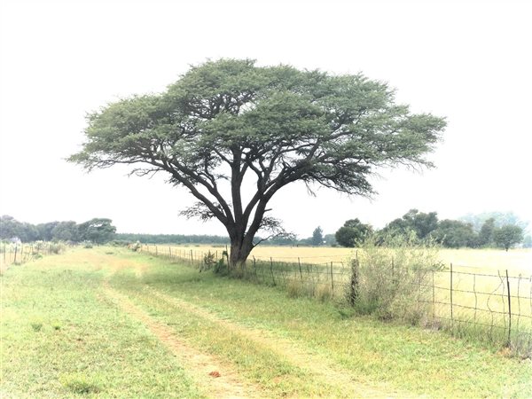 518.6 ha Farm 518.6 ha Farm