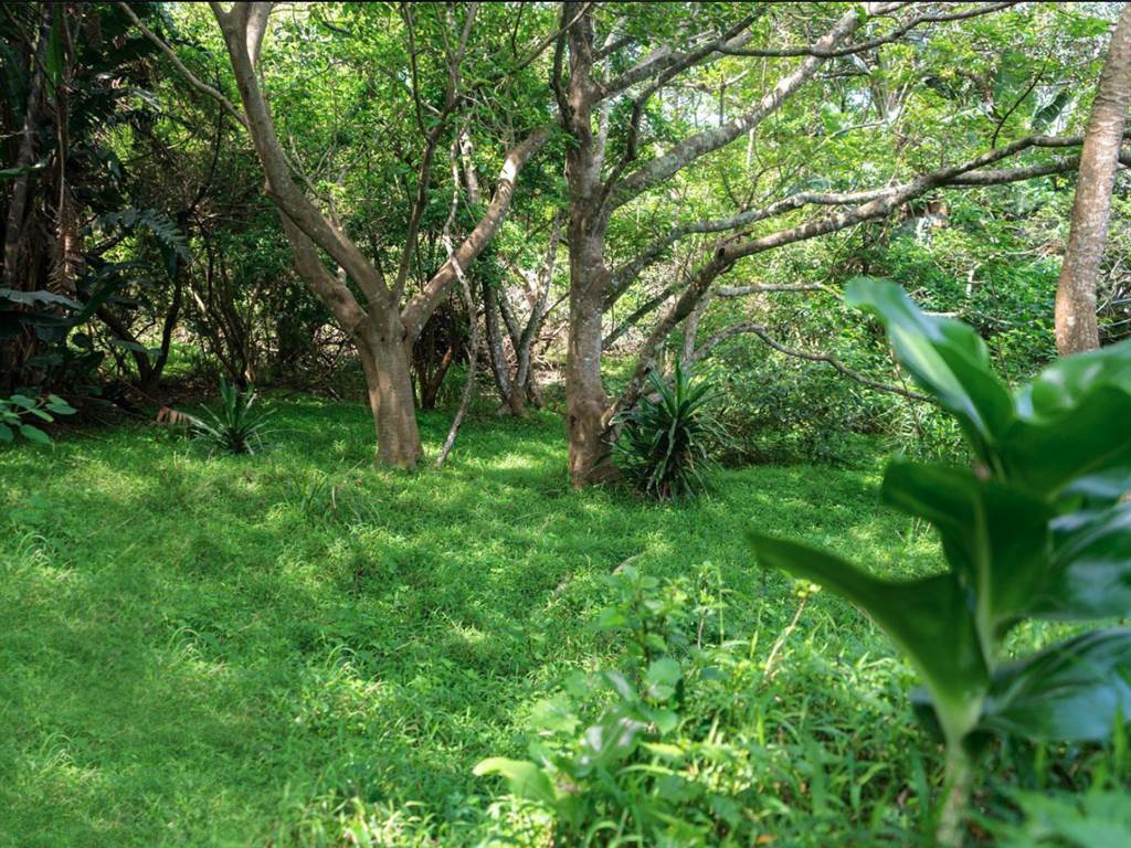 1411 m² Land available in Simbithi Estate photo number 25
