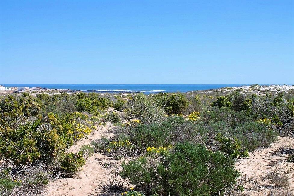 675 m² Land available in Hondeklip Bay photo number 1