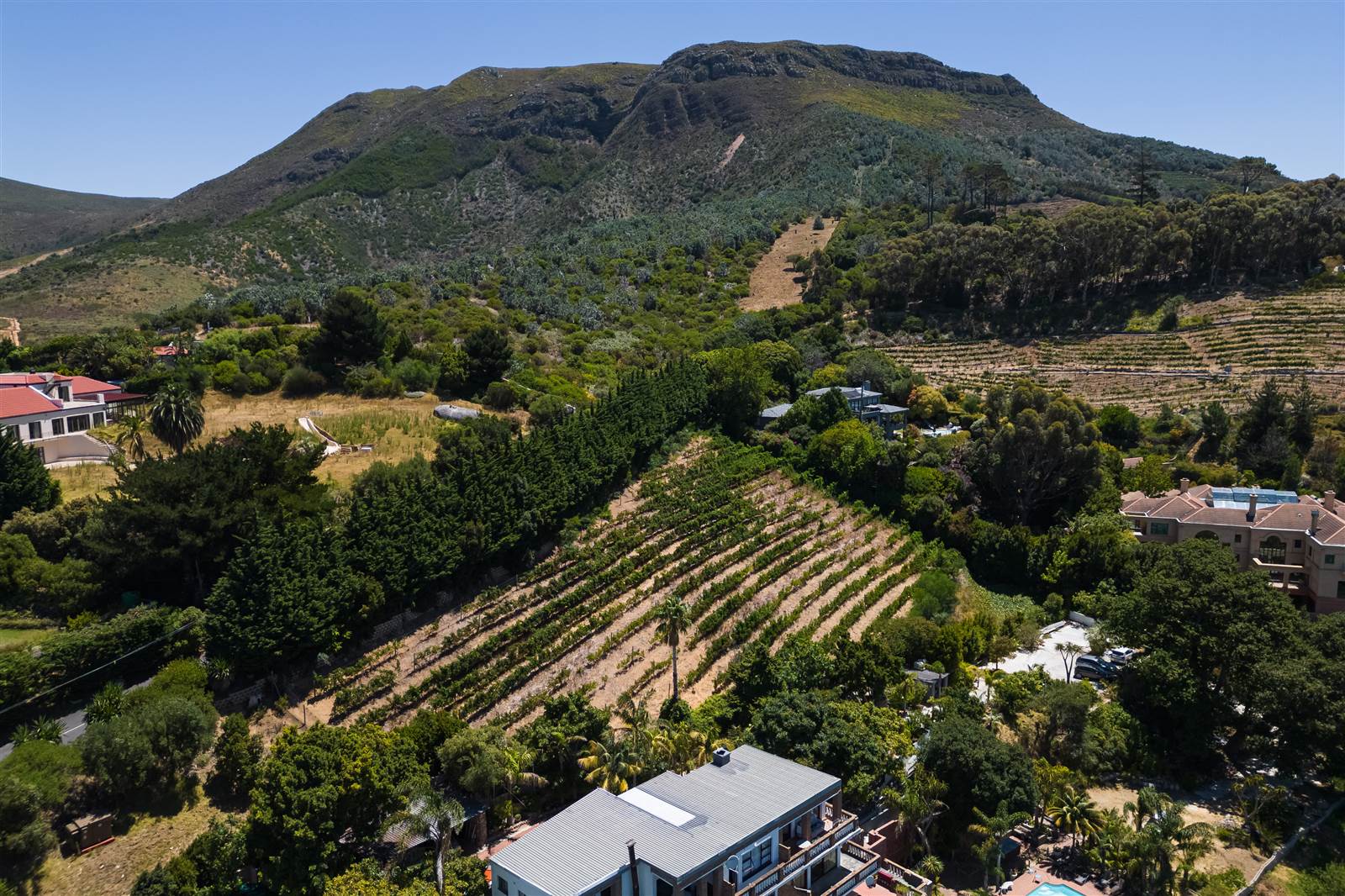 4081 m² Land available in Constantia photo number 10