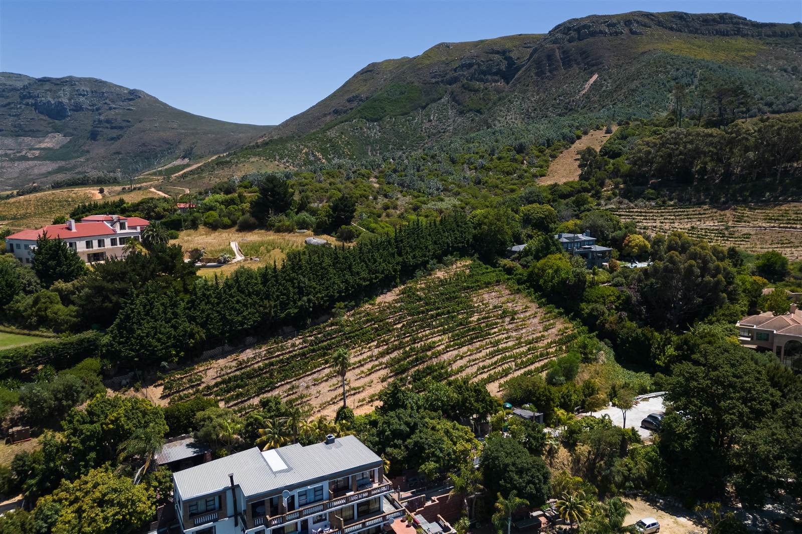 4081 m² Land available in Constantia photo number 11