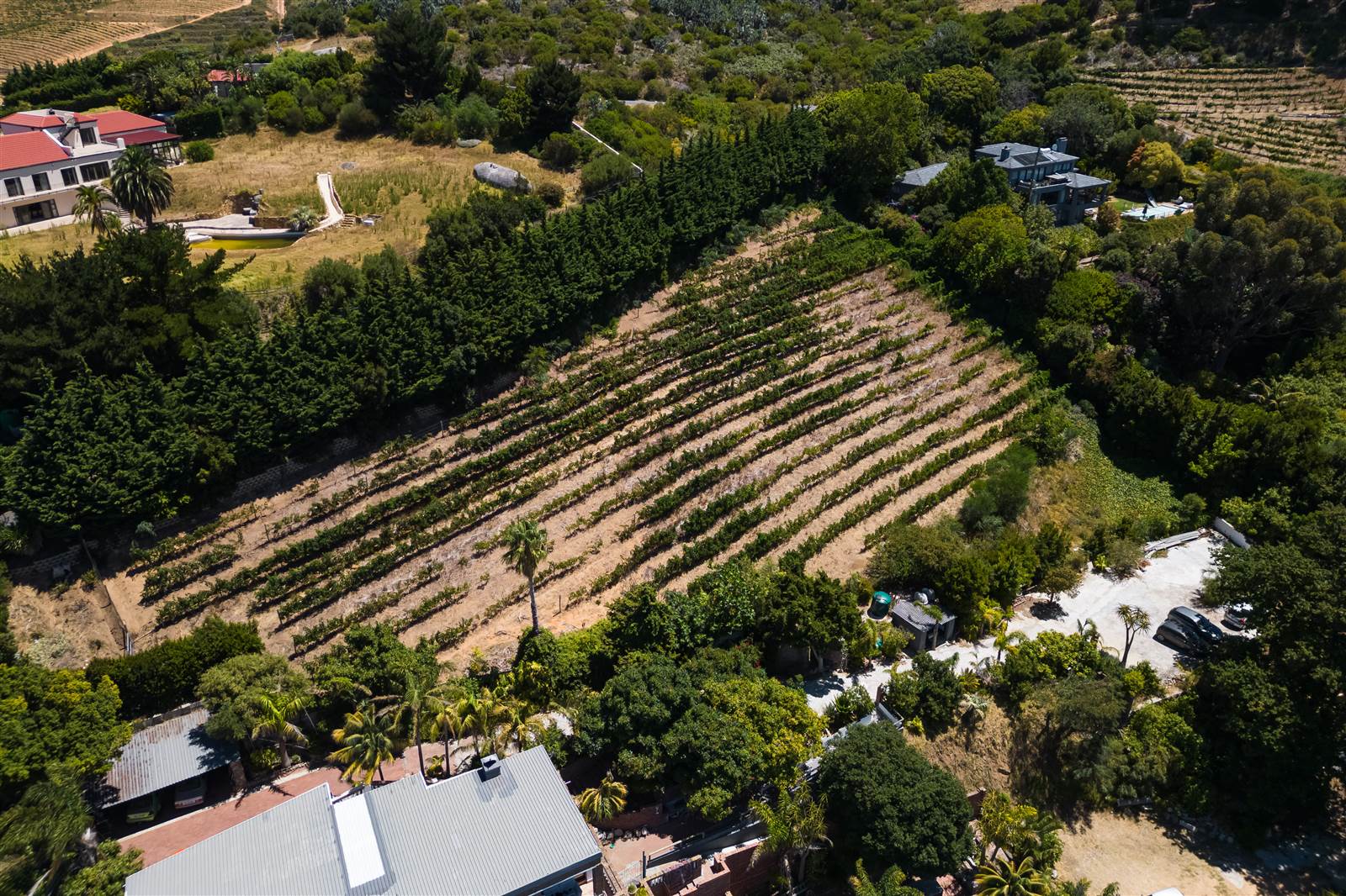 4081 m² Land available in Constantia photo number 4