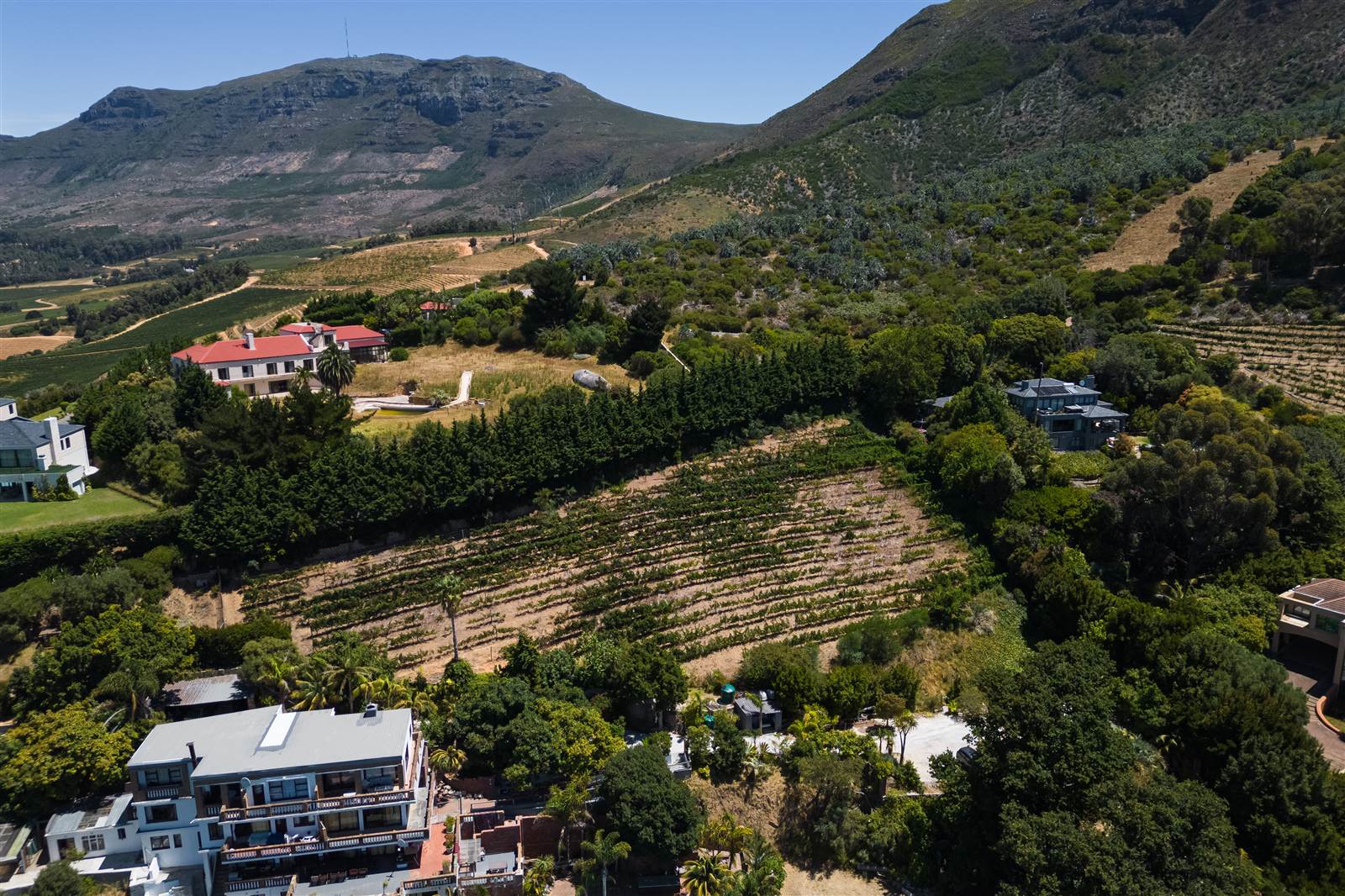 4081 m² Land available in Constantia photo number 5
