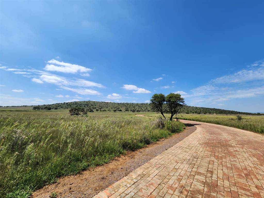 2000 m² Land available in Lekwena Wildlife Estate photo number 12