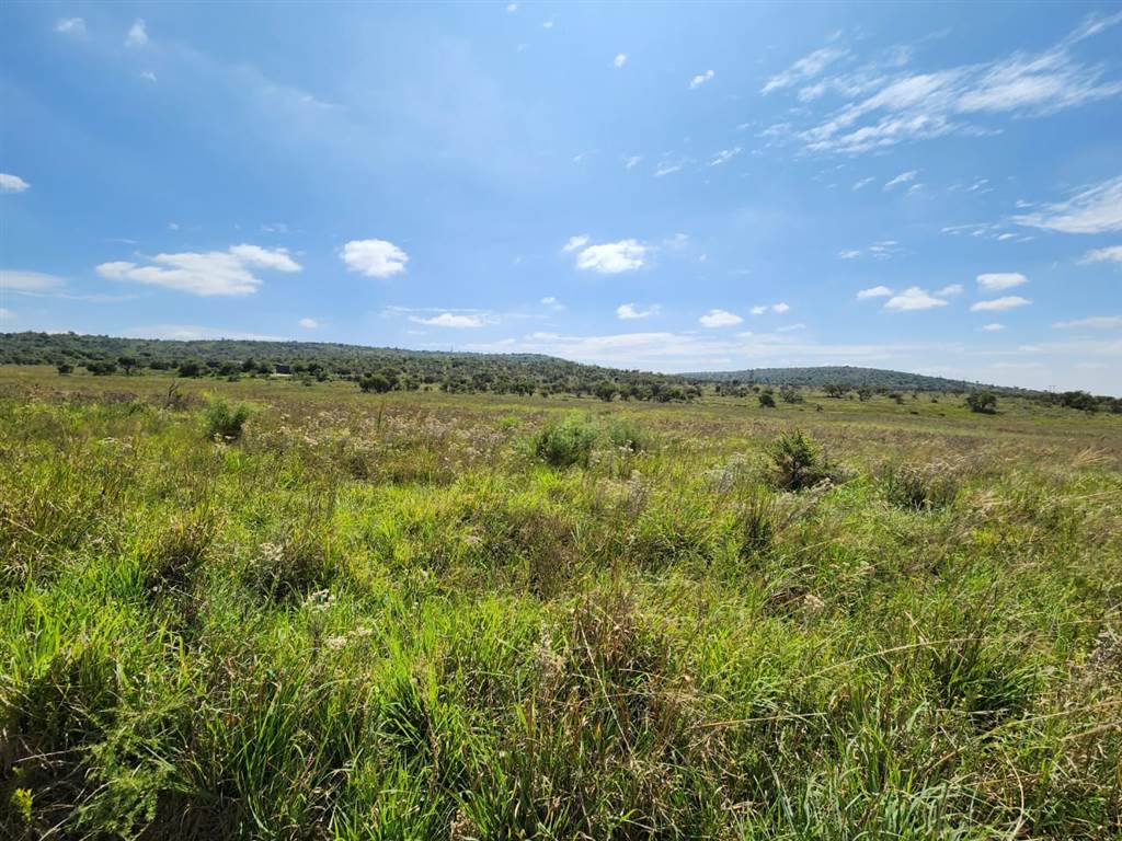 2000 m² Land available in Lekwena Wildlife Estate photo number 14