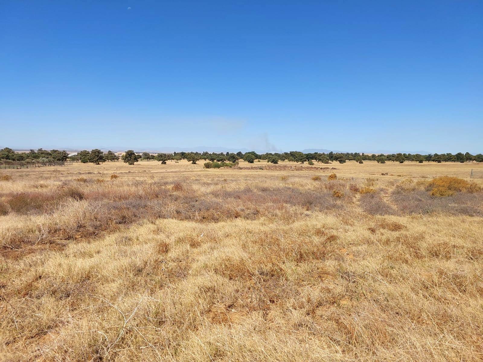 933 m² Land available in Darling photo number 9