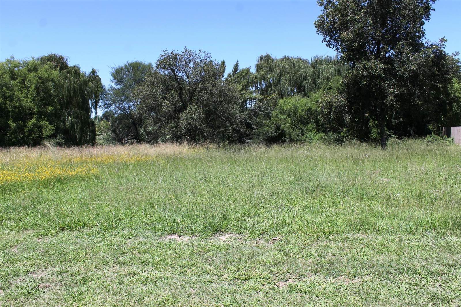1130 m² Land available in Parys Golf Estate photo number 2