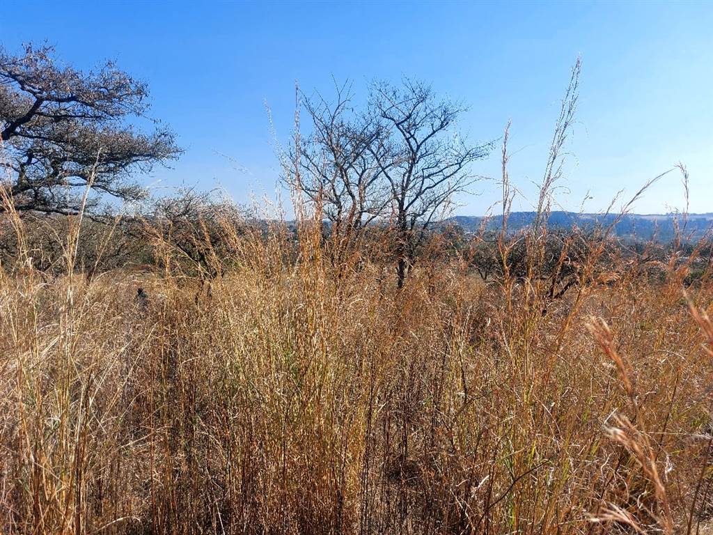 935 m² Land available in Estcourt photo number 2