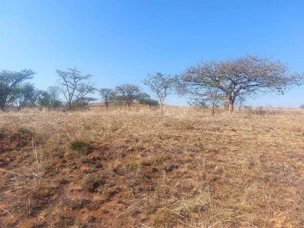 935 m² Land available in Estcourt photo number 7