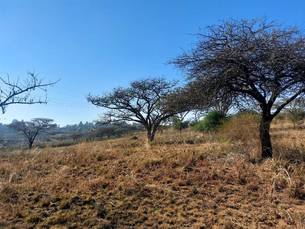 935 m² Land available in Estcourt photo number 8