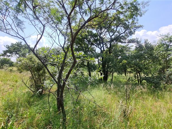 2.4 ha Land 2.4 ha Land