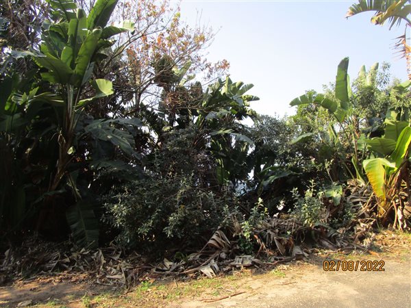 3760 m² Land available in Bazley Beach