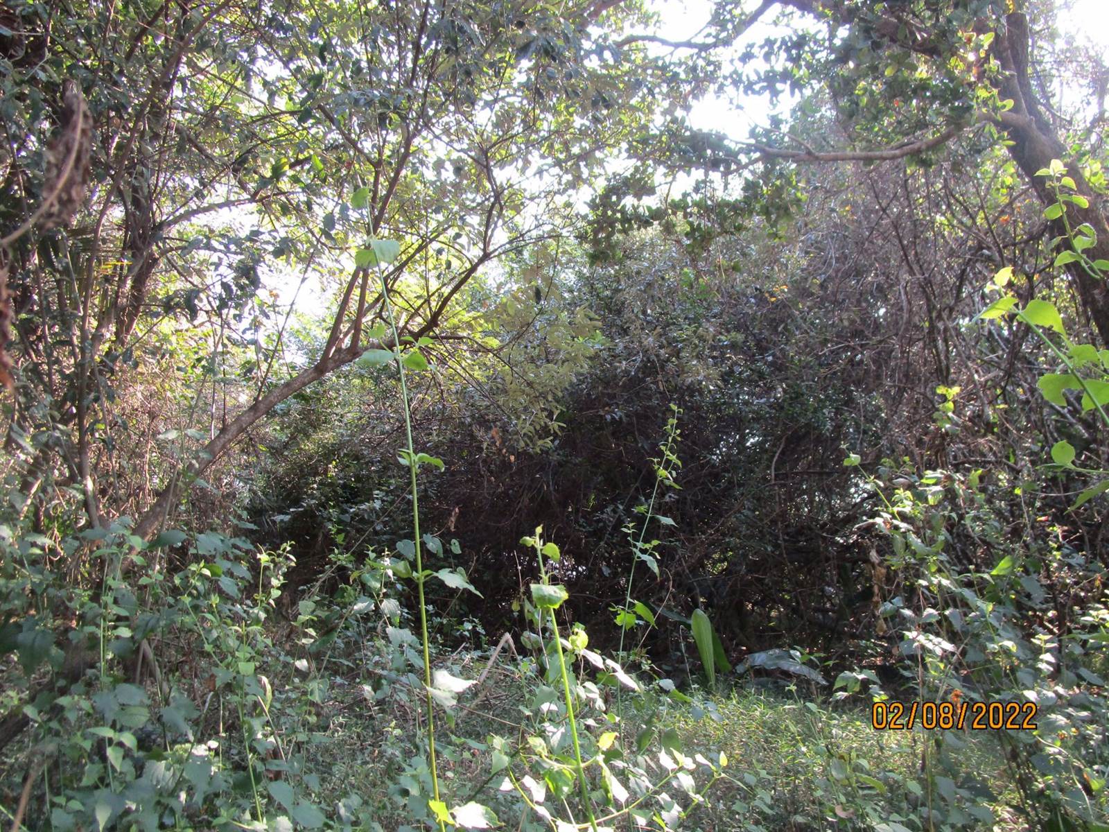 3760 m² Land available in Bazley Beach photo number 5