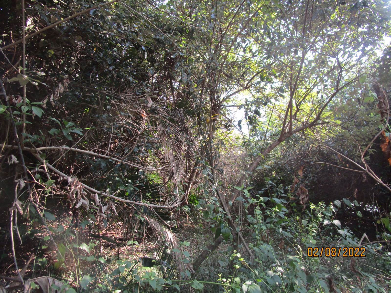 3760 m² Land available in Bazley Beach photo number 8