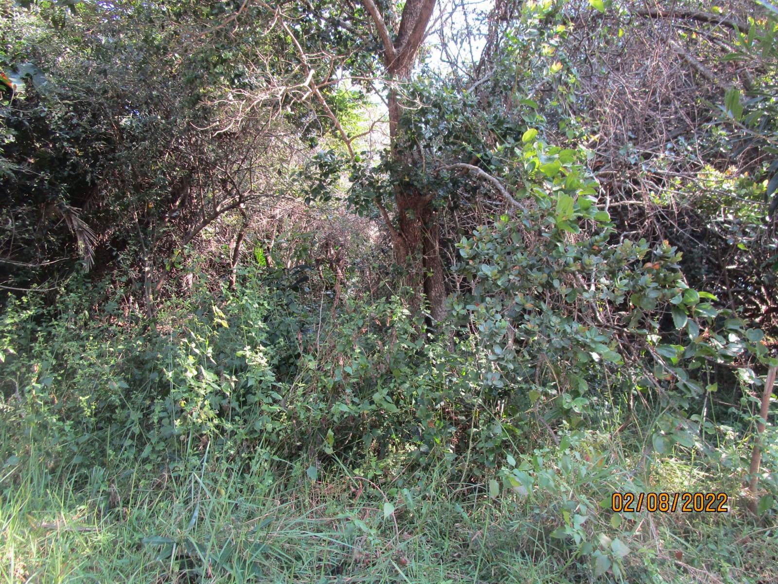 3760 m² Land available in Bazley Beach photo number 3