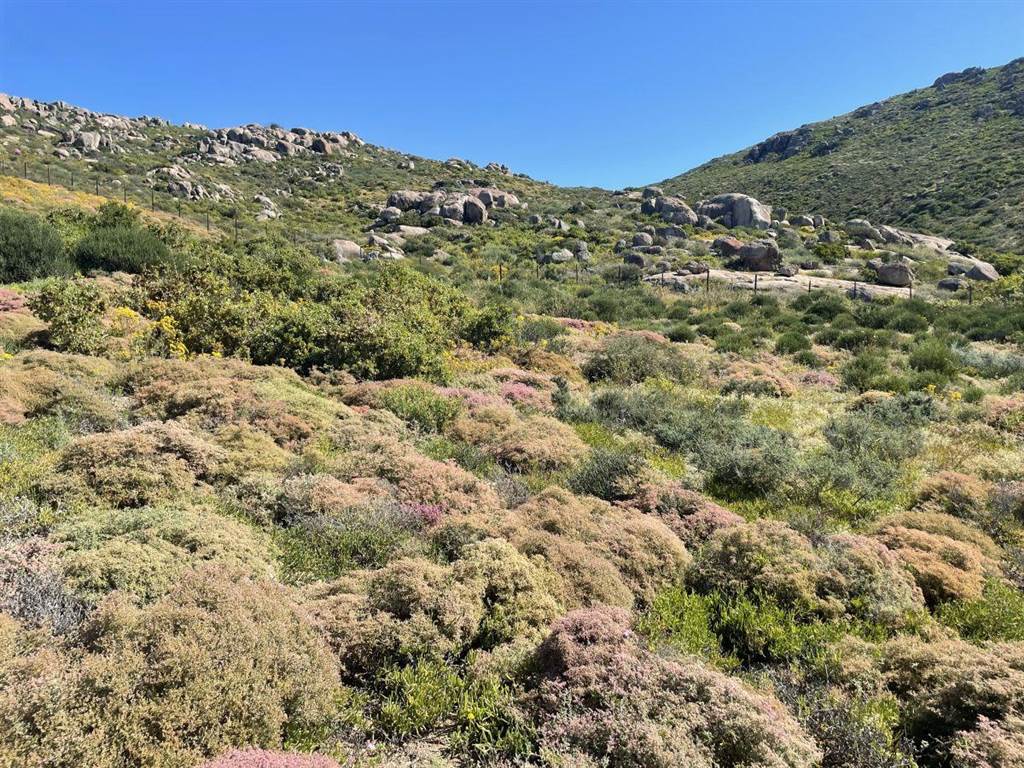 439 m² Land available in St Helena Views photo number 5