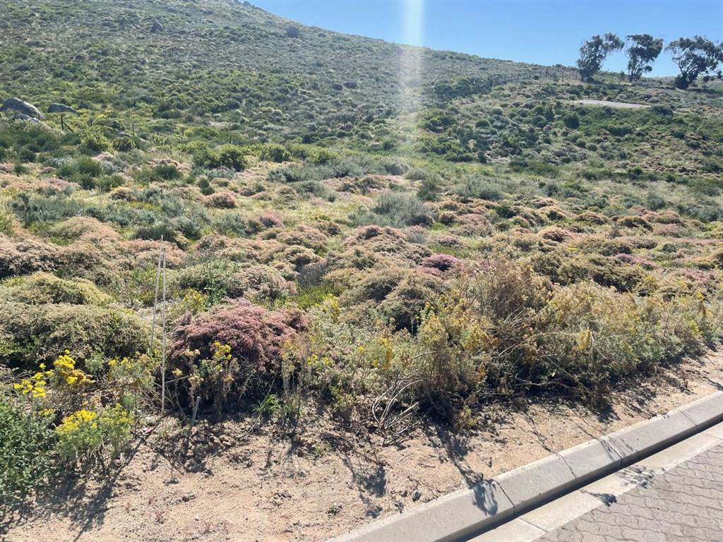 439 m² Land available in St Helena Views photo number 2