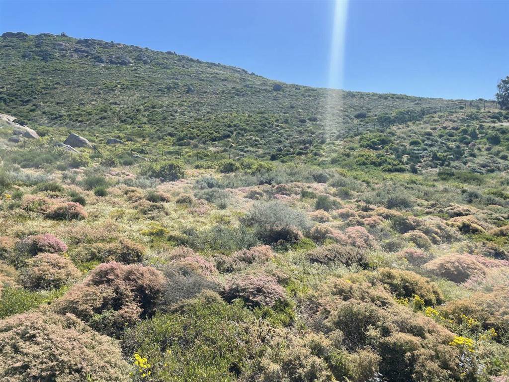 439 m² Land available in St Helena Views photo number 6
