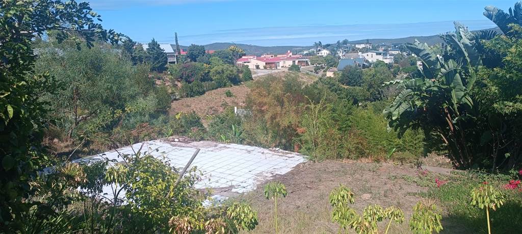 1389 m² Land available in Knysna Heights photo number 6