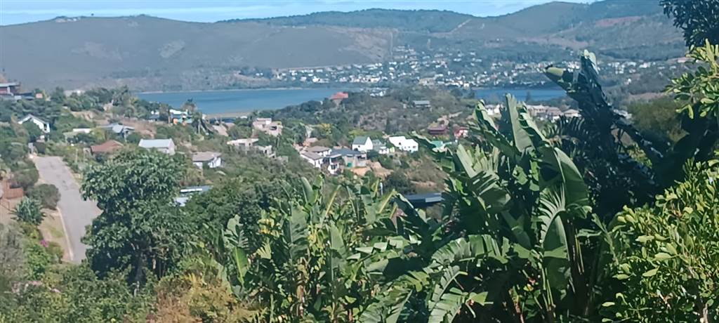 1389 m² Land available in Knysna Heights photo number 1