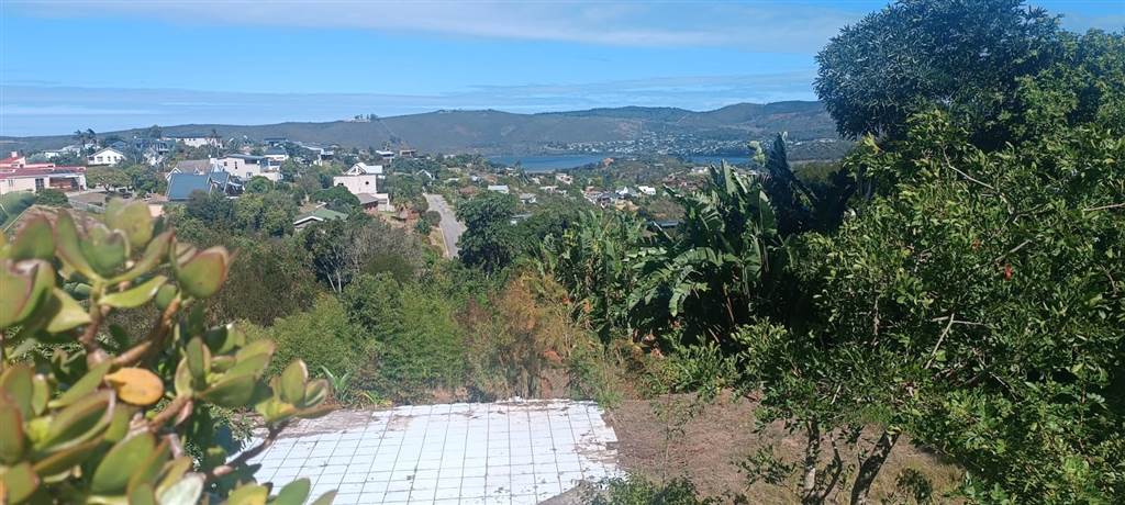 1389 m² Land available in Knysna Heights photo number 8
