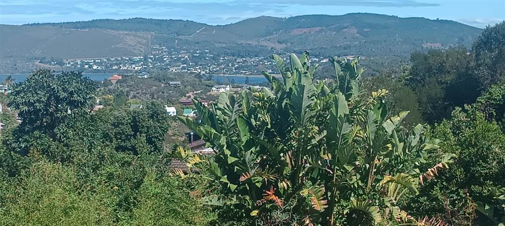 1389 m² Land available in Knysna Heights photo number 3