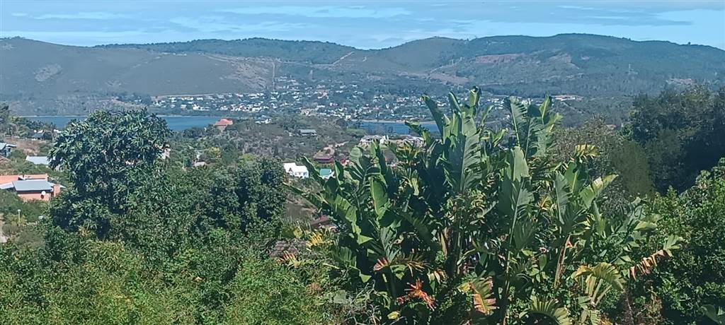 1389 m² Land available in Knysna Heights photo number 5