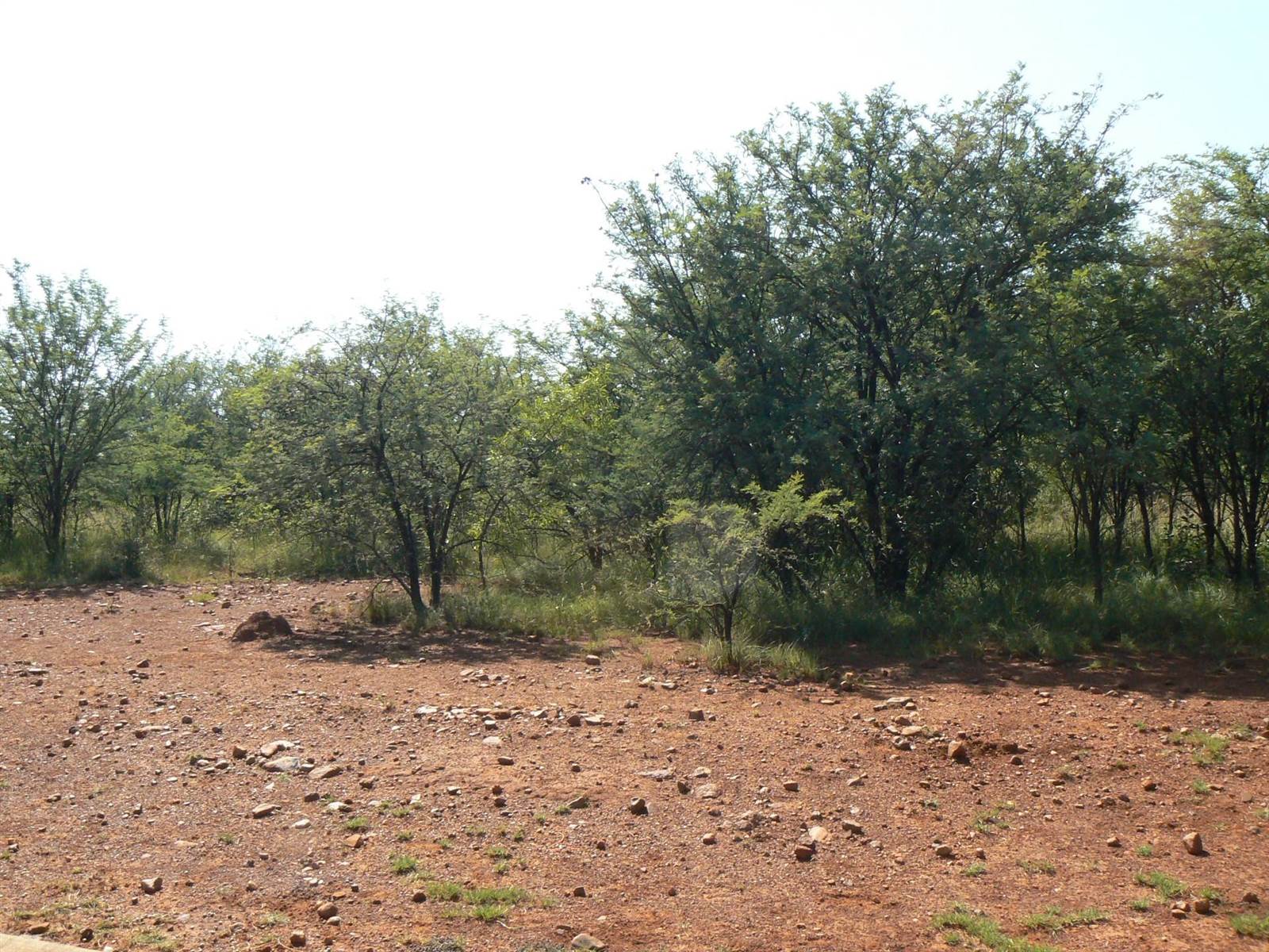 1082 m² Land available in Leloko photo number 10