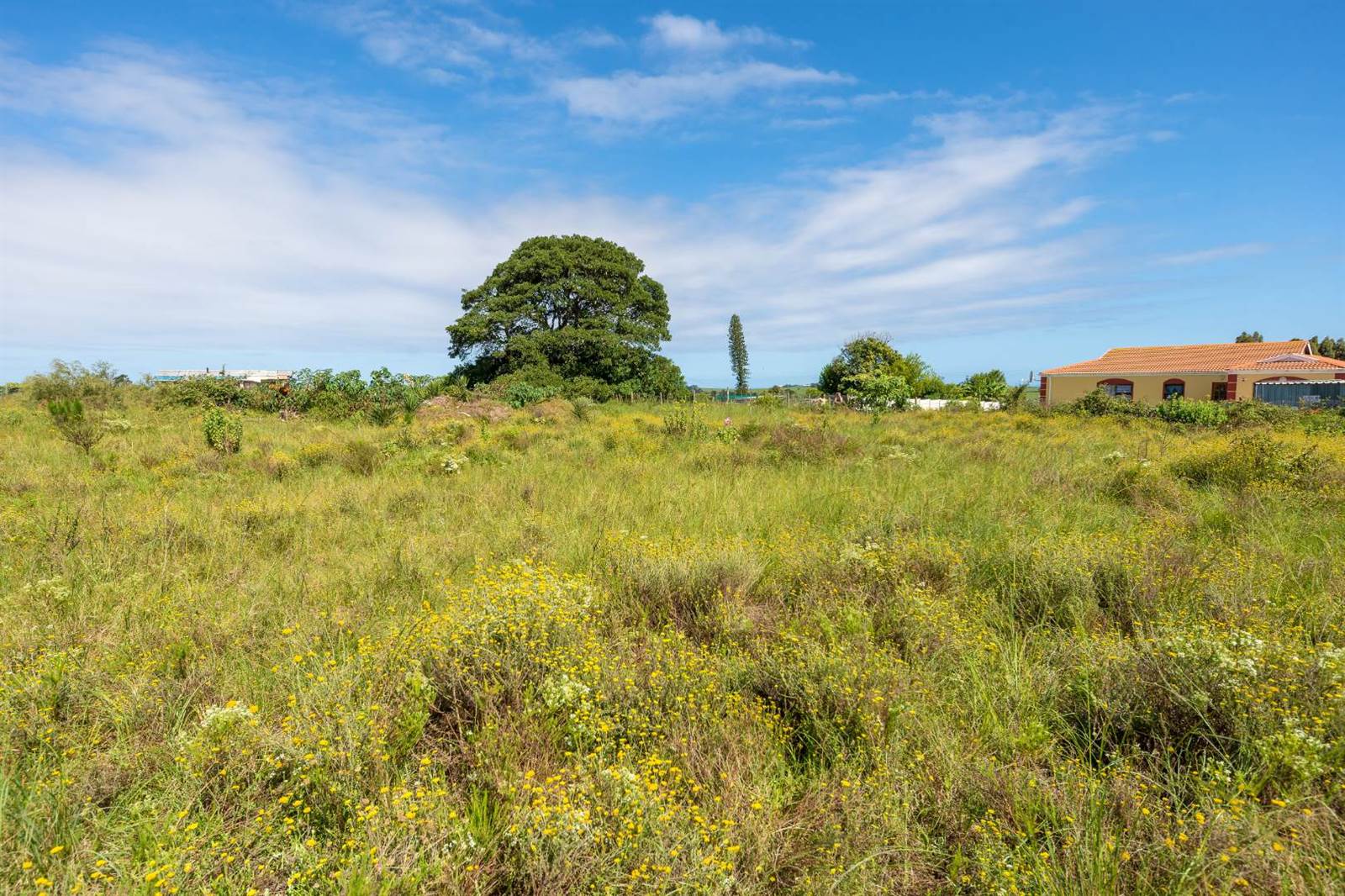 3060 m² Land available in Pacaltsdorp photo number 9