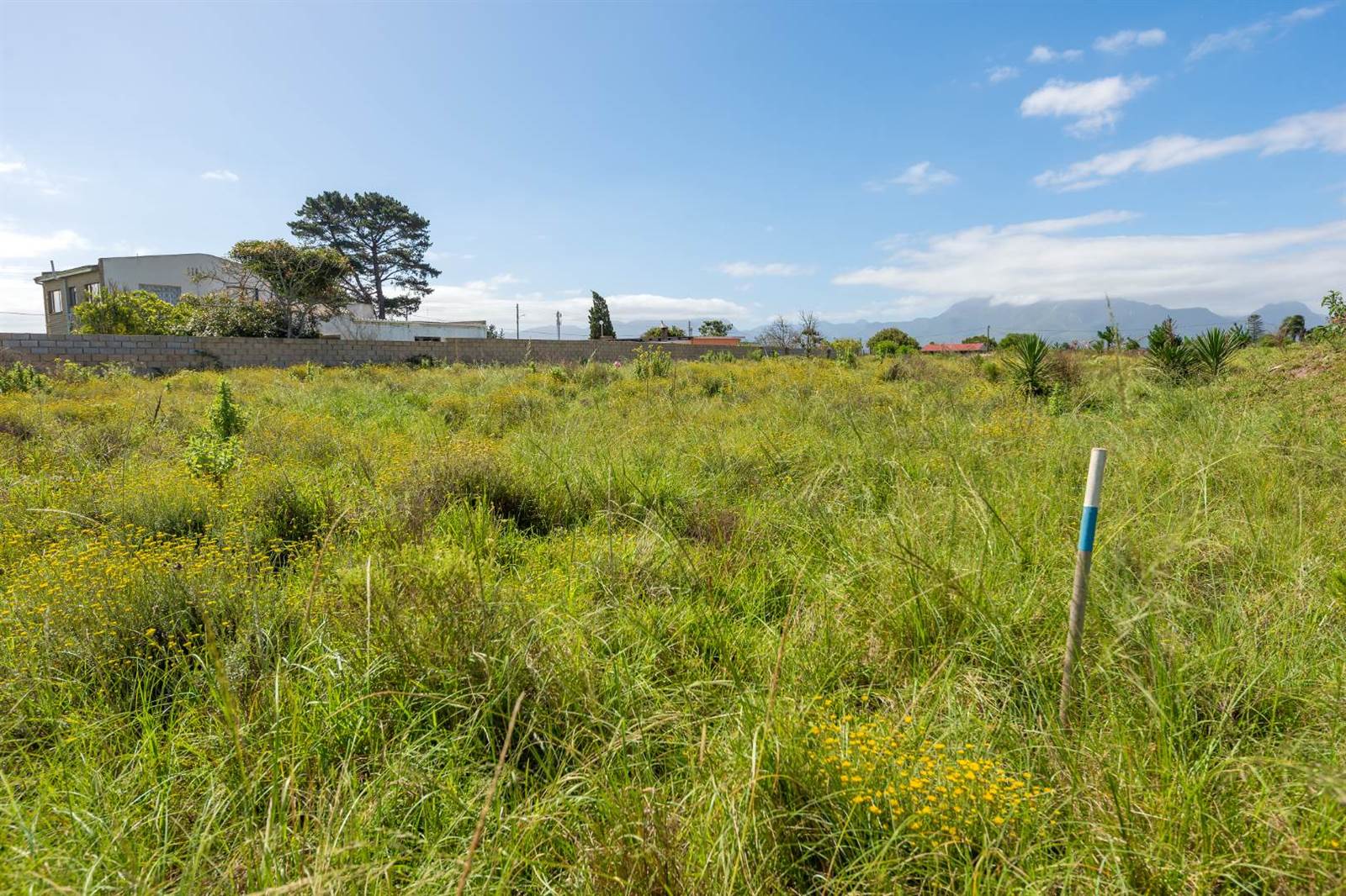 3060 m² Land available in Pacaltsdorp photo number 12