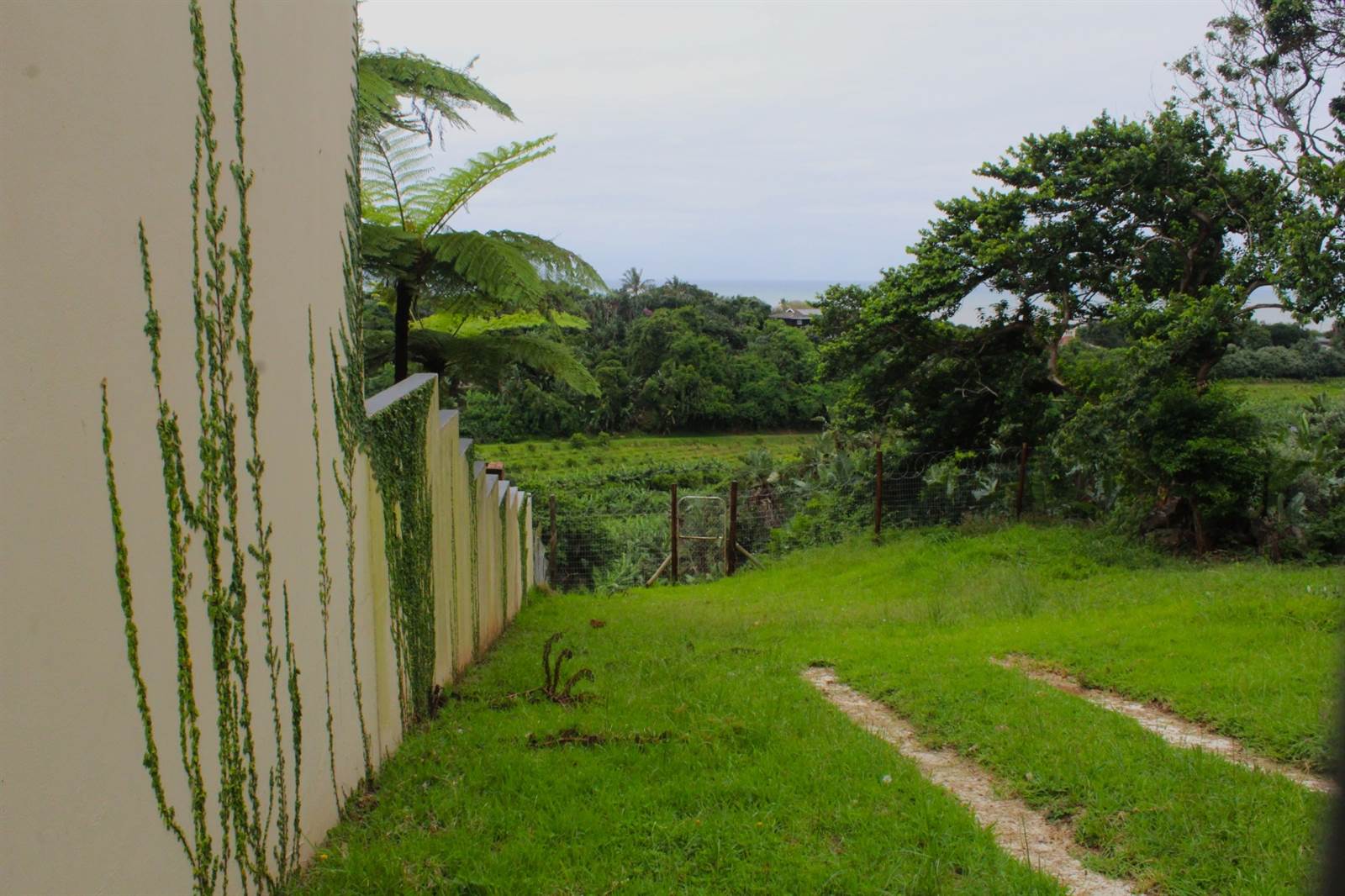1800 m² Land available in Trafalgar photo number 1