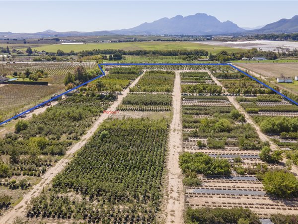 4283 ha Smallholding in Stellenbosch Agricultural