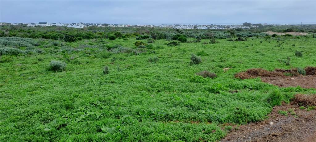 2.1 ha Land available in Jacobsbaai photo number 12