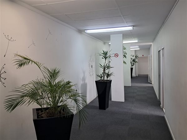 39  m² Office Space