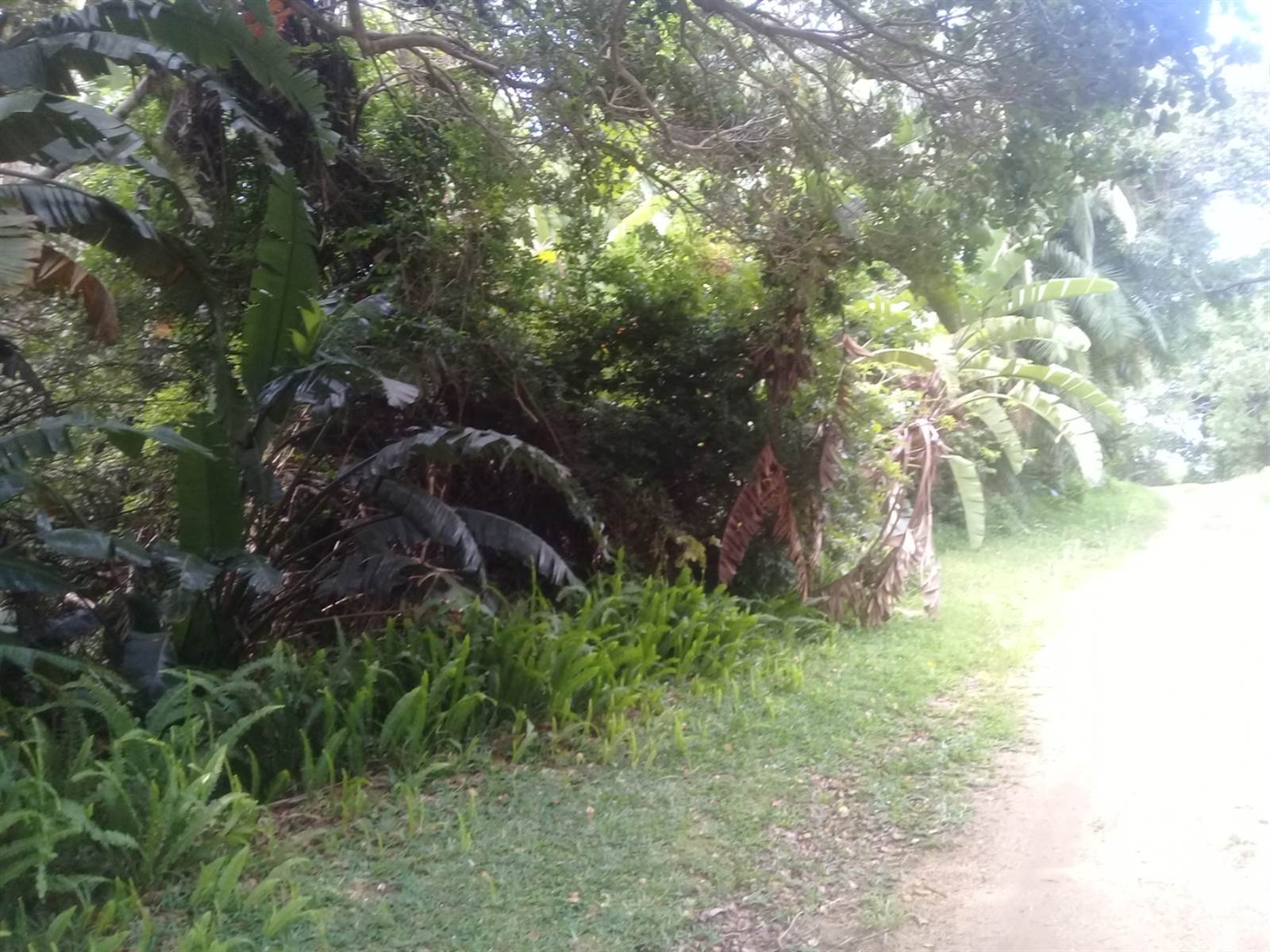 1351 m² Land available in Palm Beach photo number 7
