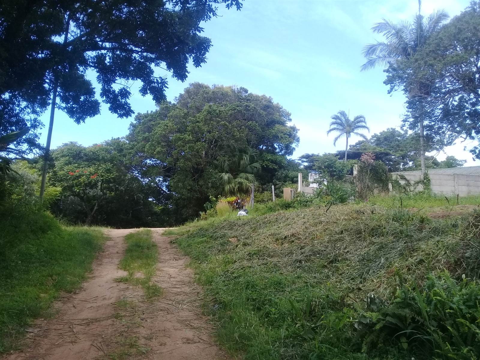 1351 m² Land available in Palm Beach photo number 4