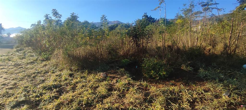 1050 m² Land available in Barberton photo number 3