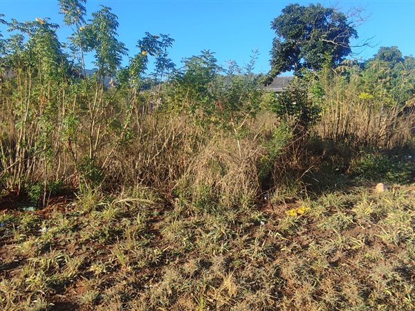 1050 m² Land available in Barberton