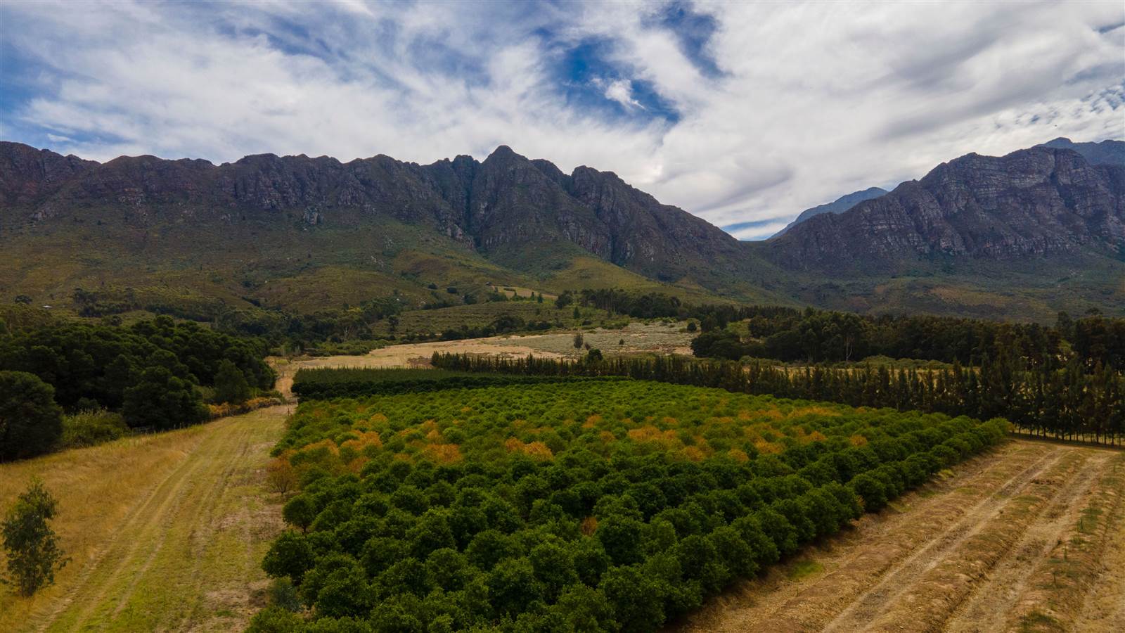 78 ha Farm in Tulbagh photo number 23