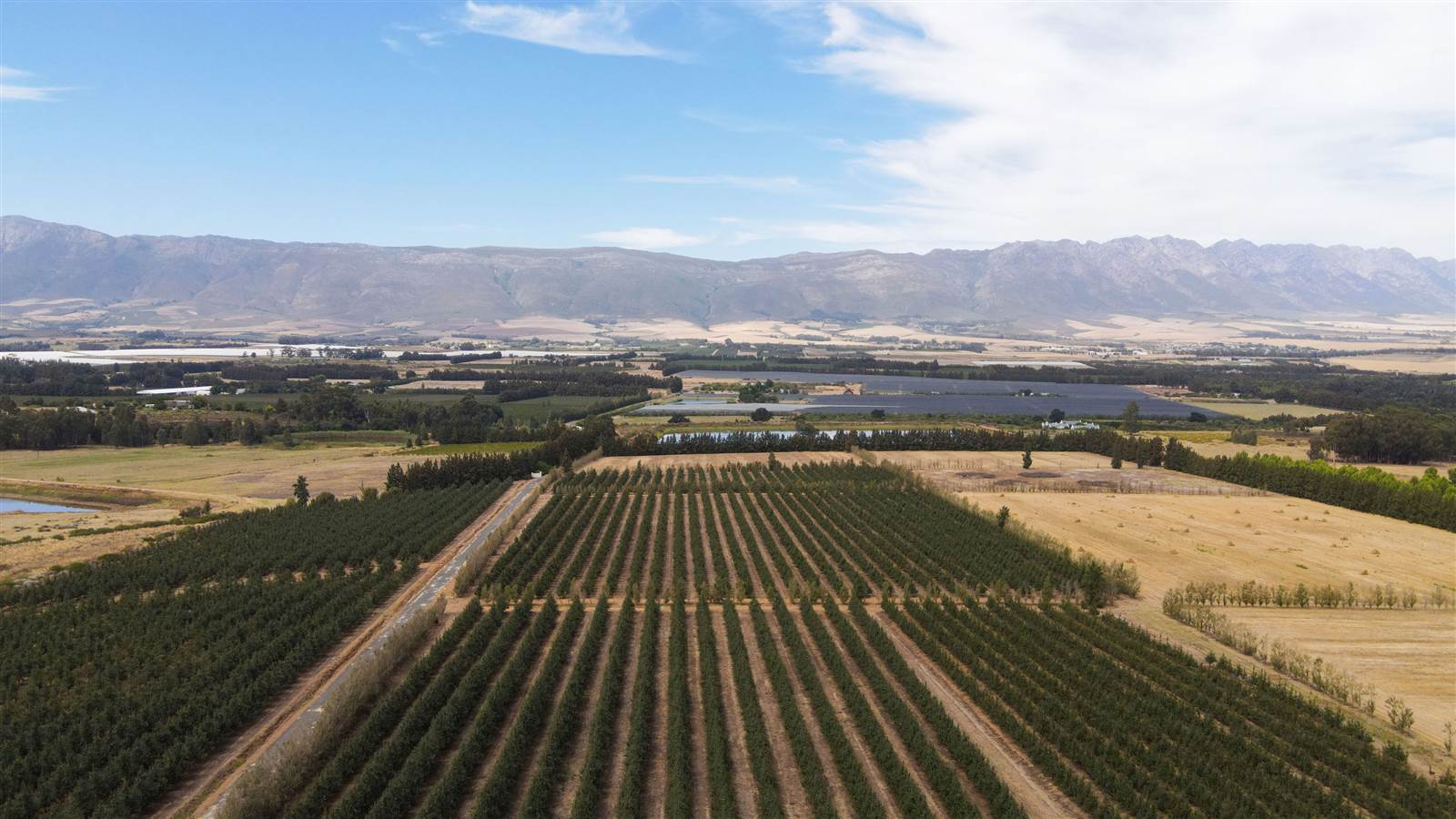 78 ha Farm in Tulbagh photo number 11
