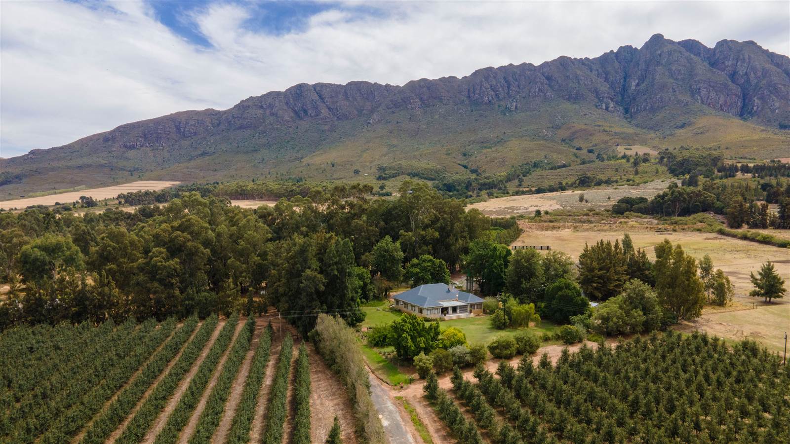 78 ha Farm in Tulbagh photo number 30
