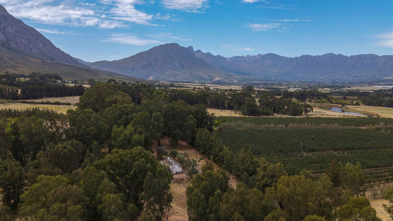 78 ha Farm in Tulbagh photo number 14