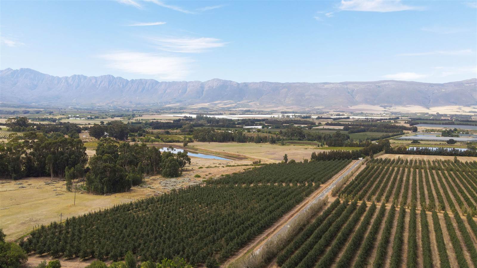 78 ha Farm in Tulbagh photo number 4