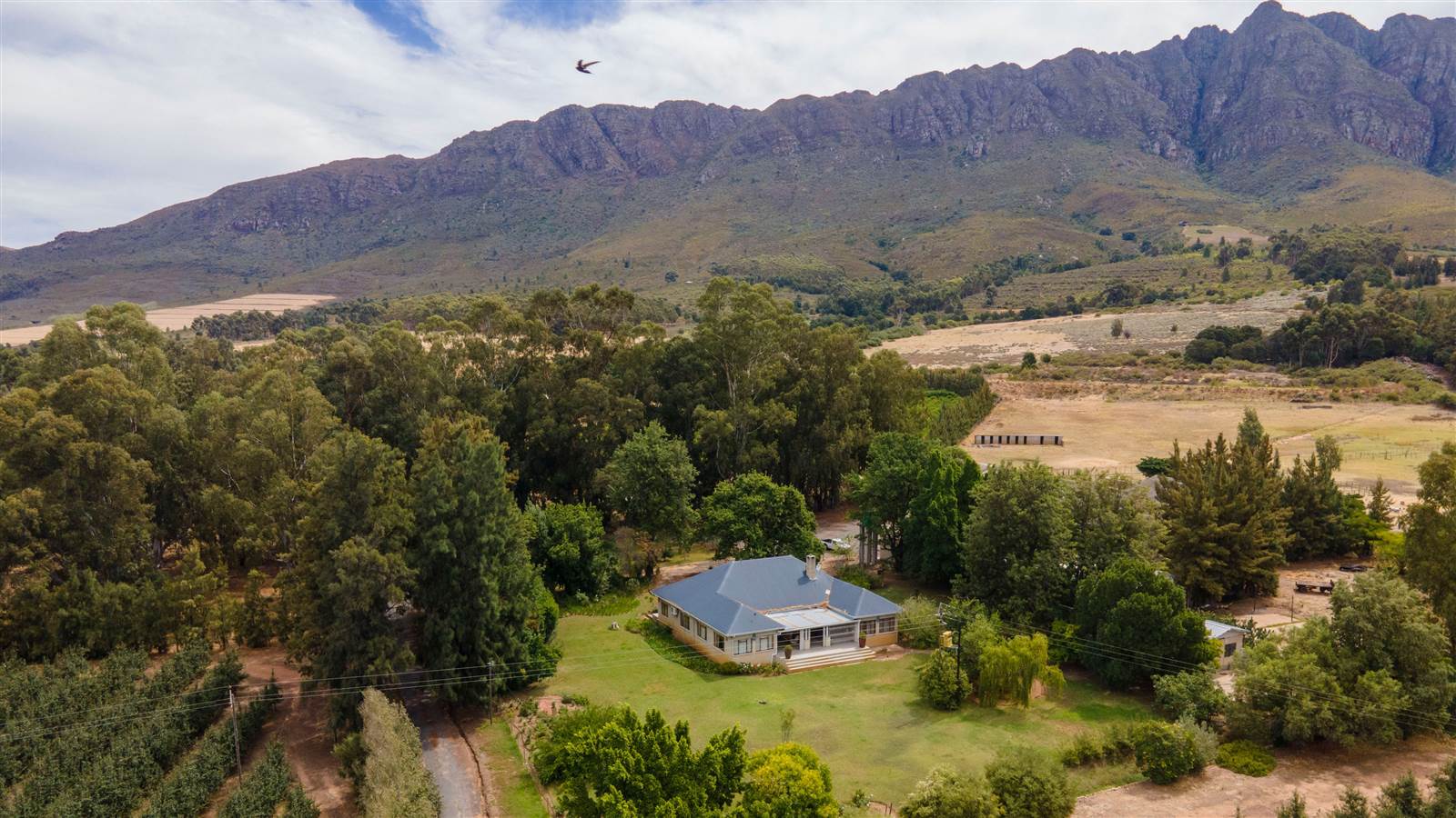 78 ha Farm in Tulbagh photo number 28