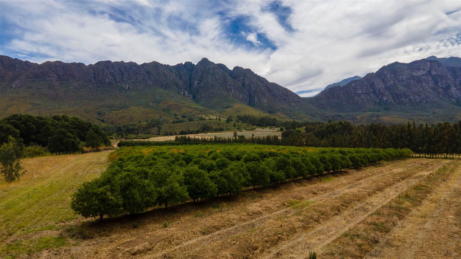 78 ha Farm in Tulbagh photo number 22