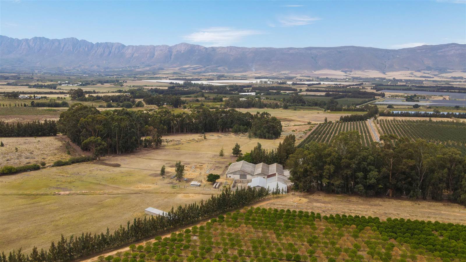 78 ha Farm in Tulbagh photo number 17