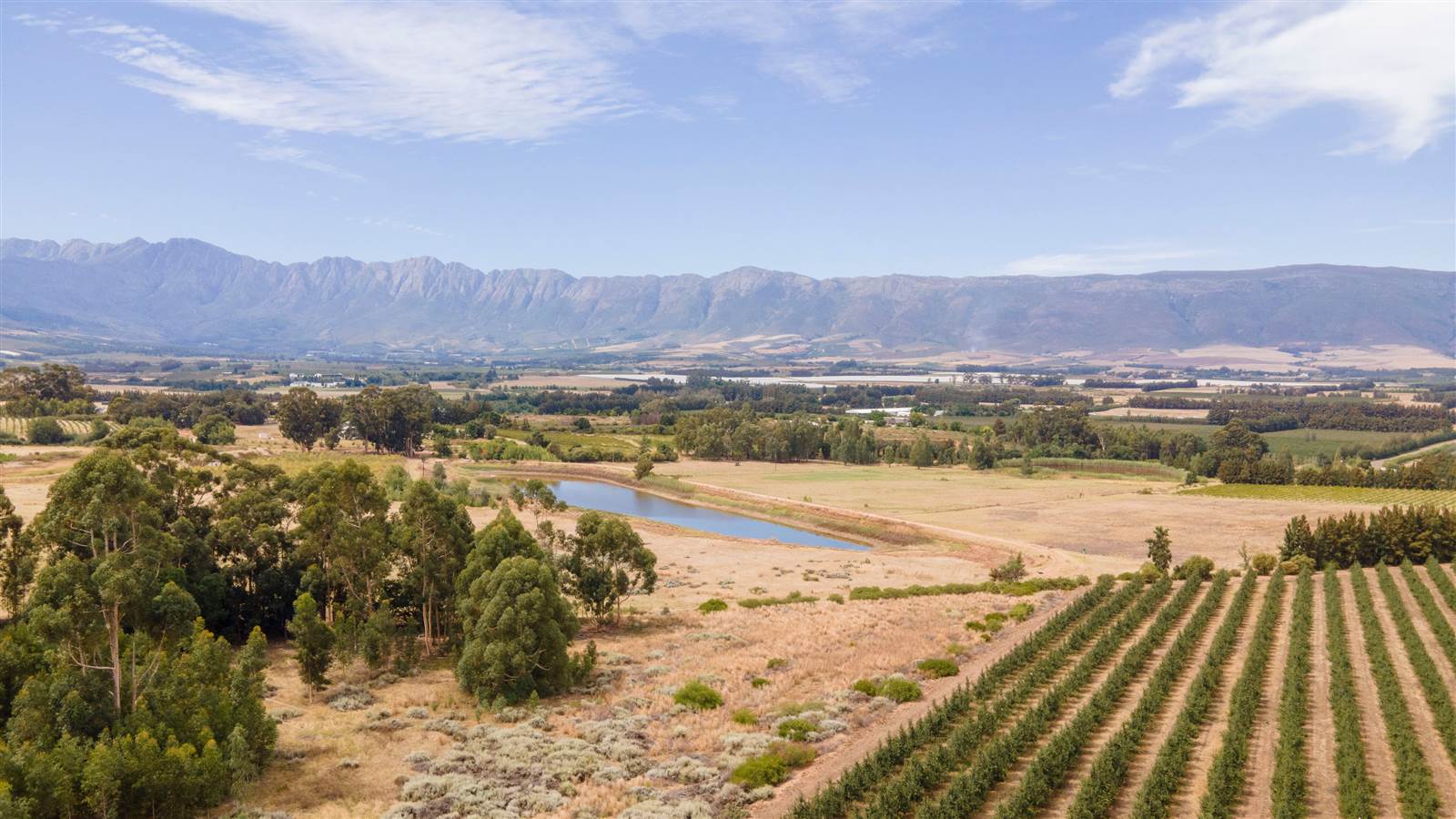78 ha Farm in Tulbagh photo number 29