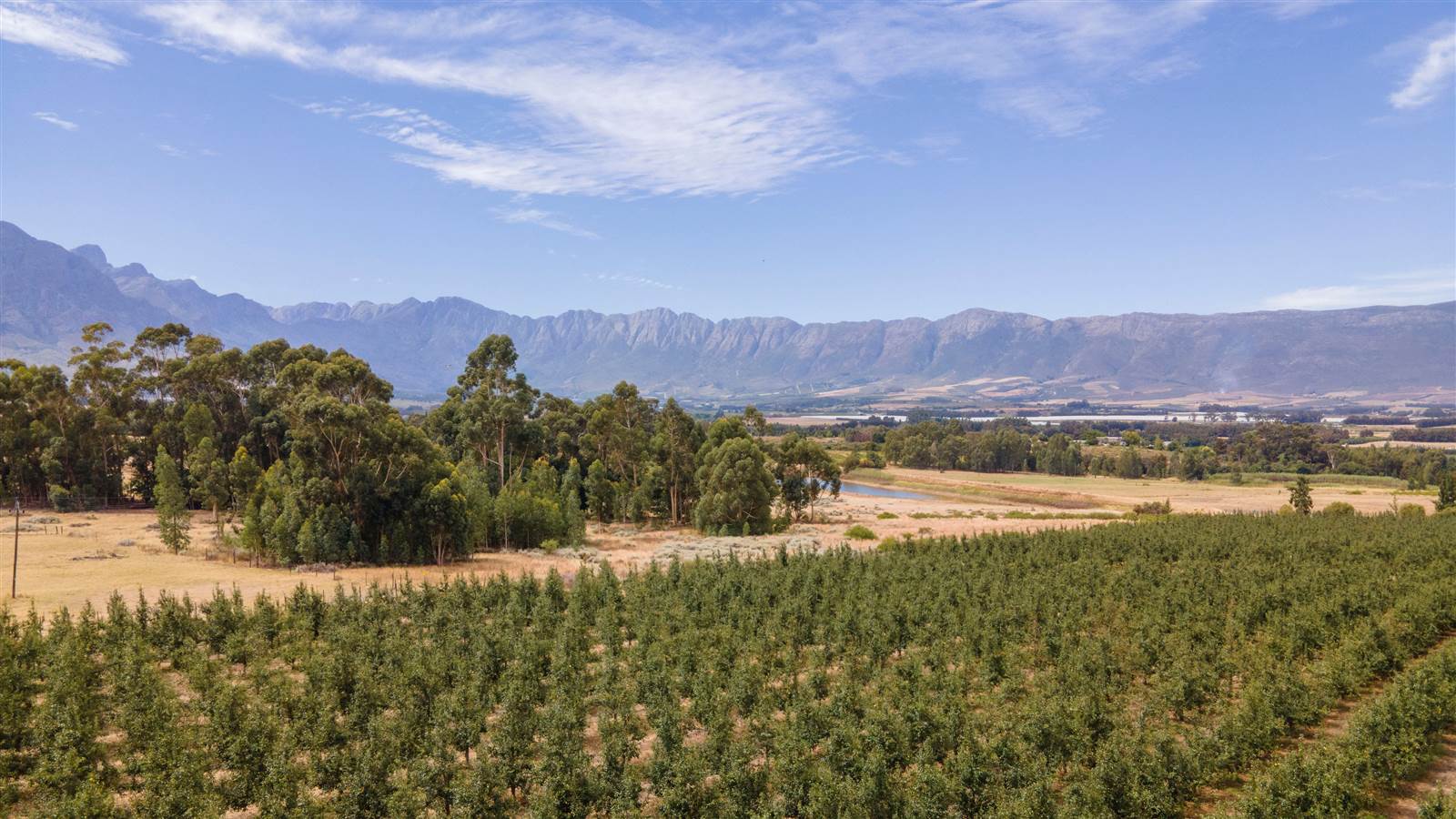 78 ha Farm in Tulbagh photo number 3