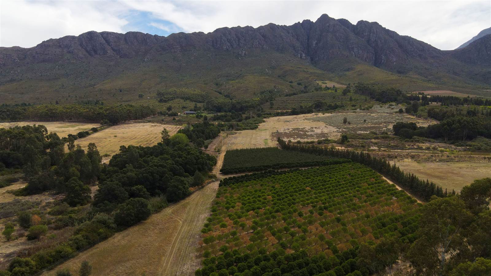 78 ha Farm in Tulbagh photo number 10